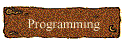  Programming